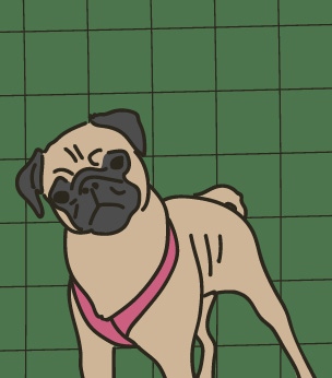 Dolly Danger Valverde, Snacks